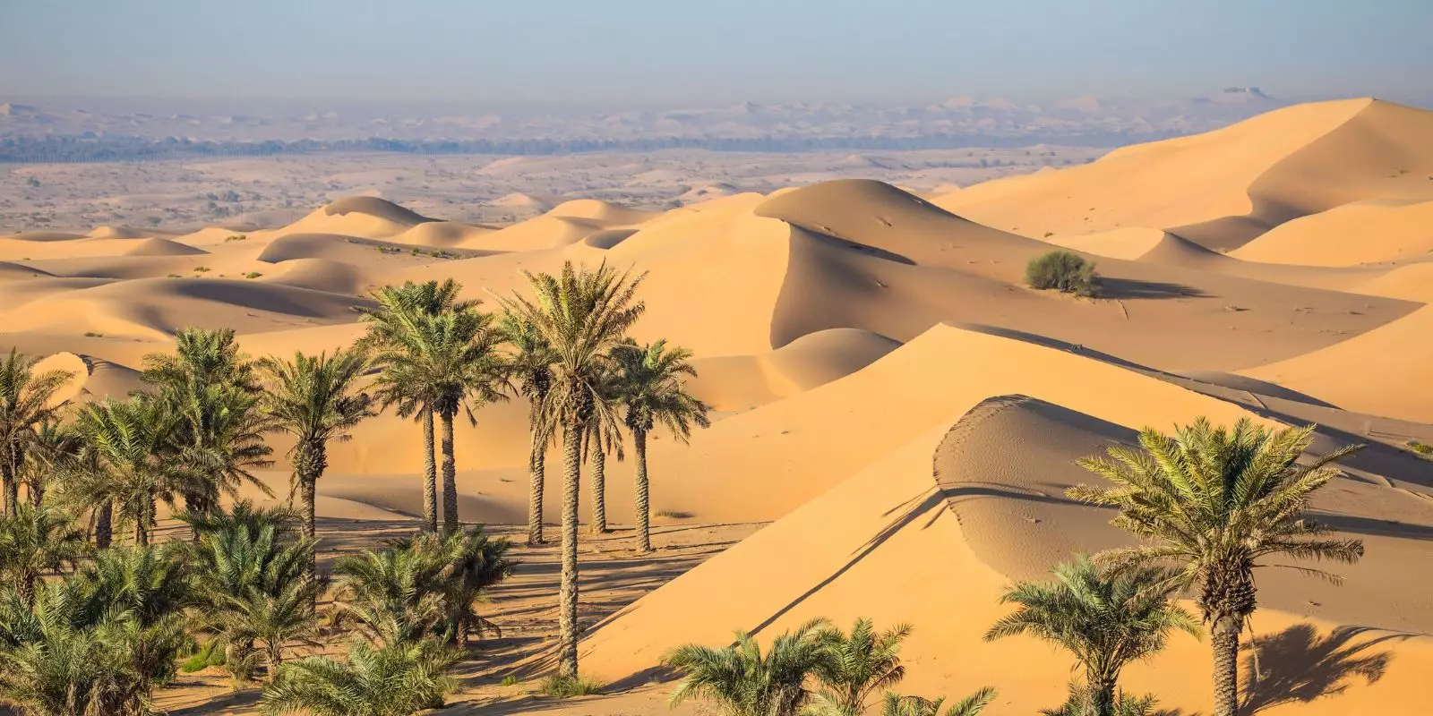 Abu Dhabi Tours