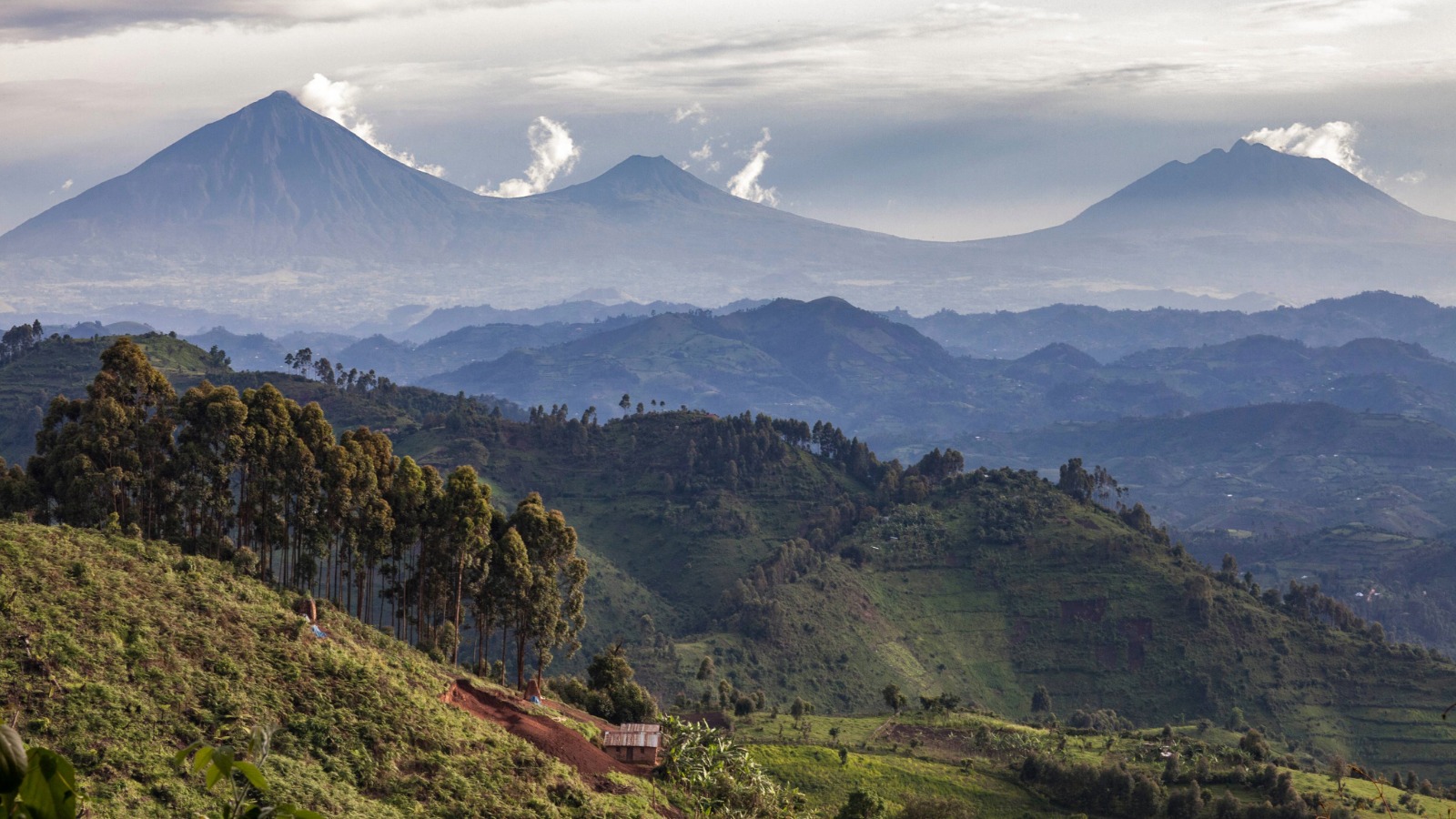 Uganda Tours