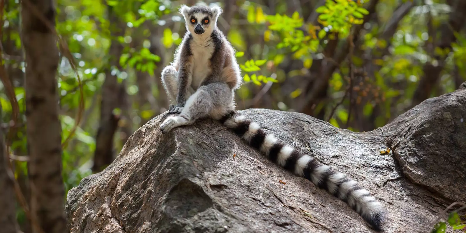 Madagascar Holidays