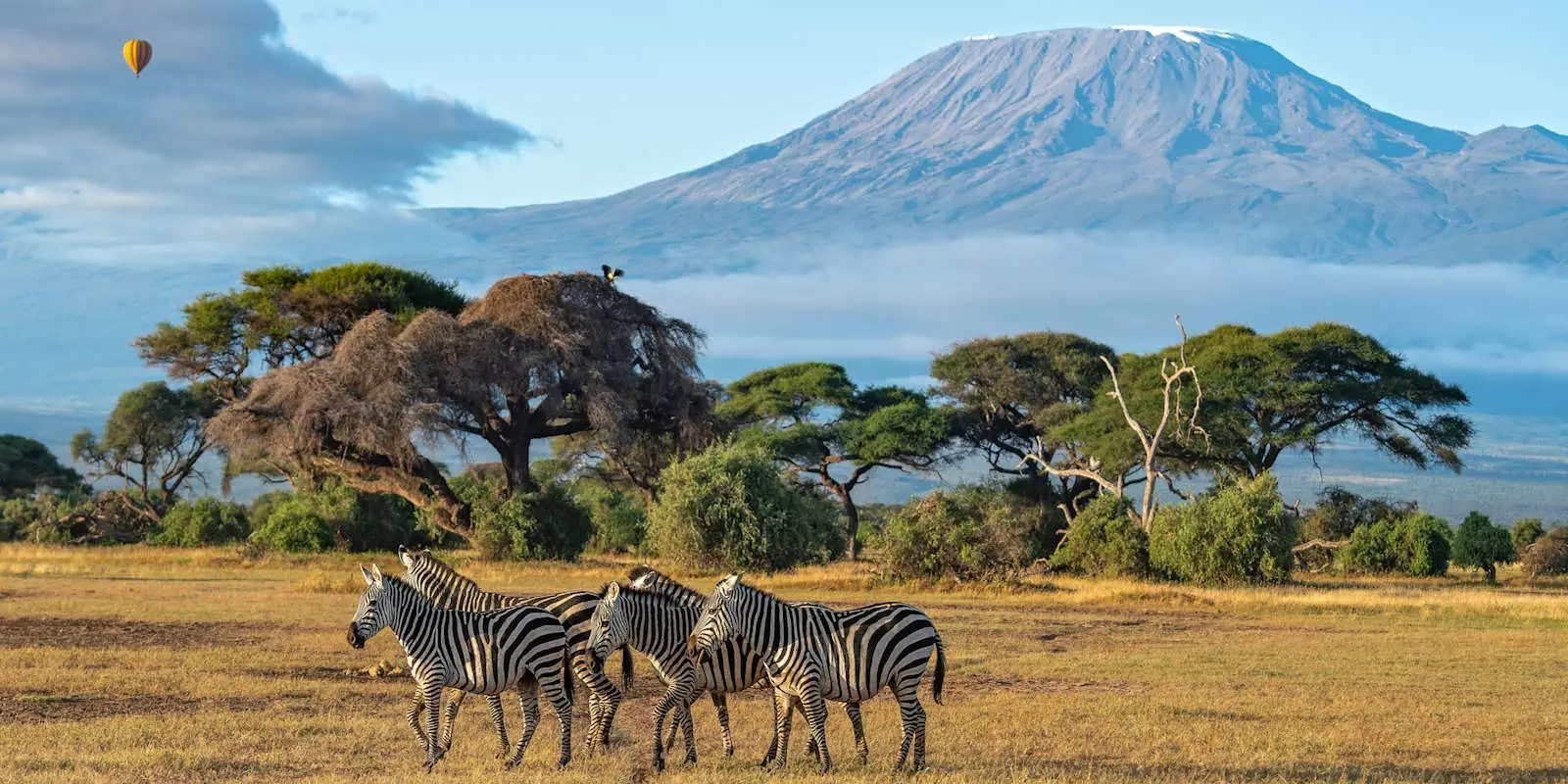 Kenya Holidays