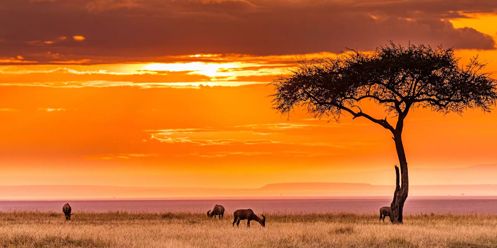 Tanzania Holidays