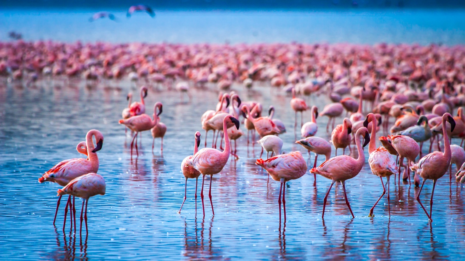 Kenya Tours