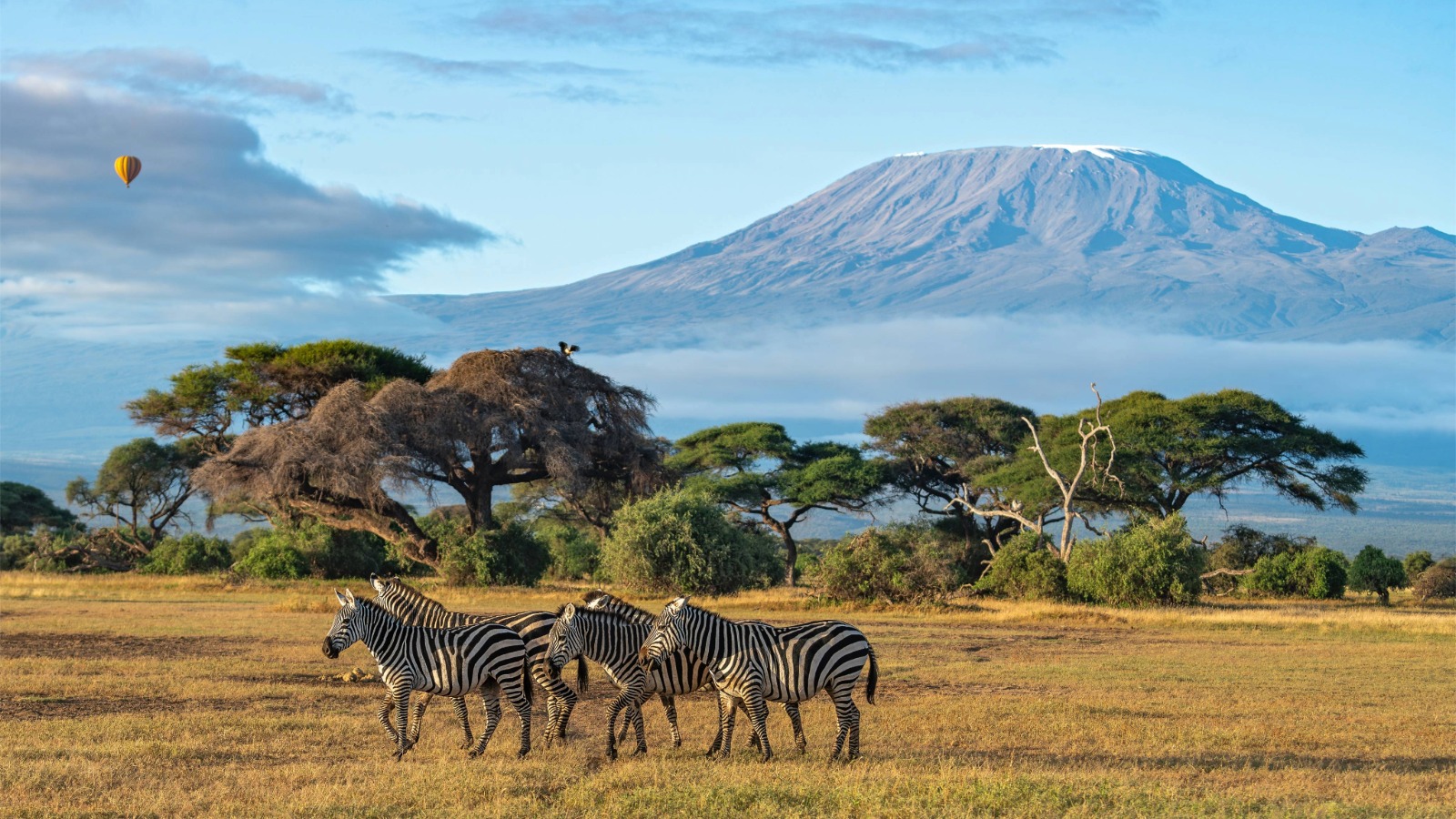 Africa Holidays
