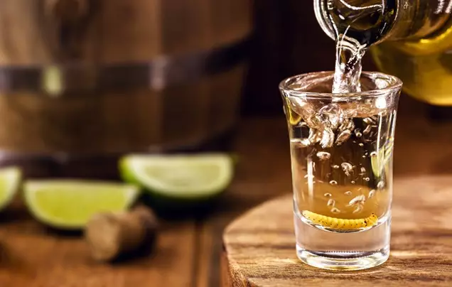 Day 8: Tequila