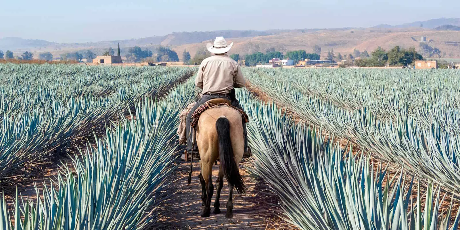 Mexico Holidays