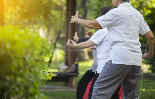 Day 6: Meditation & Tai Chi