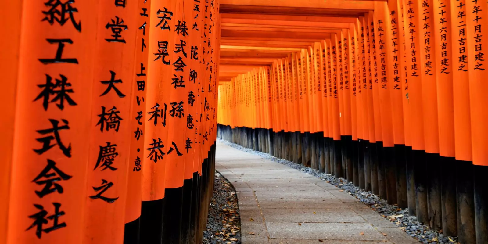 Our Biggest Ever Sale