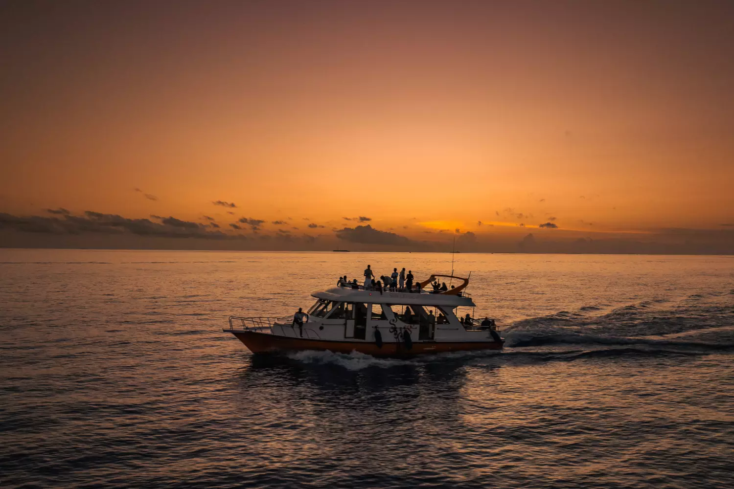 Excursions & Experiences