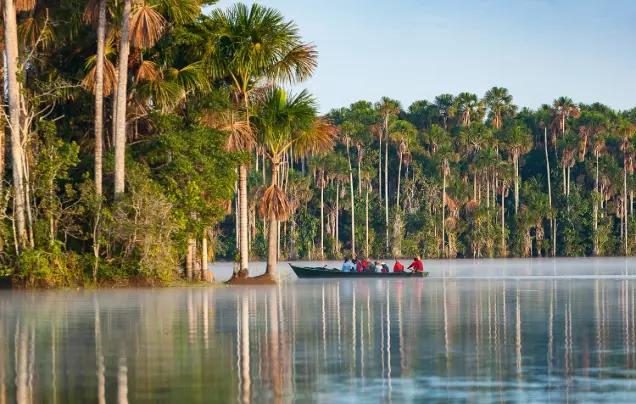 Days 13-14: Discover the Amazon