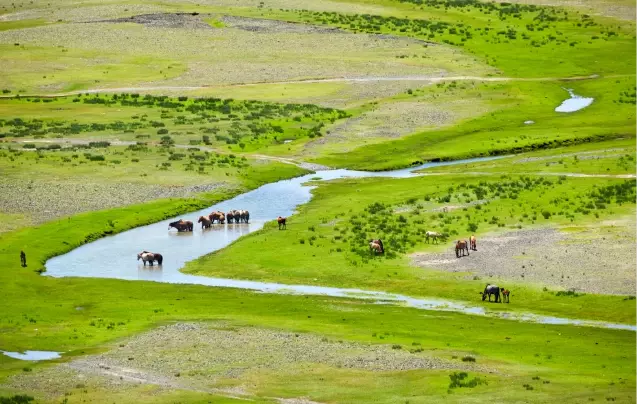 Day 10: Journey to Karakorum