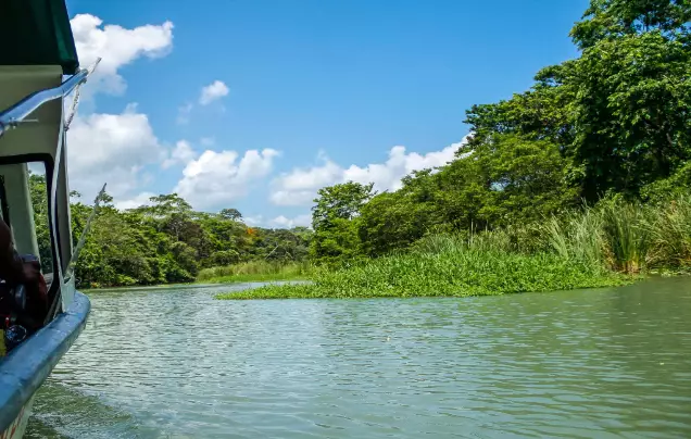 Day 3: Tortuguero National Park