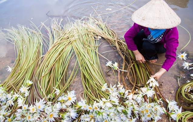DAY 10 FARMER AND FISHERMAN EXPERIENCE