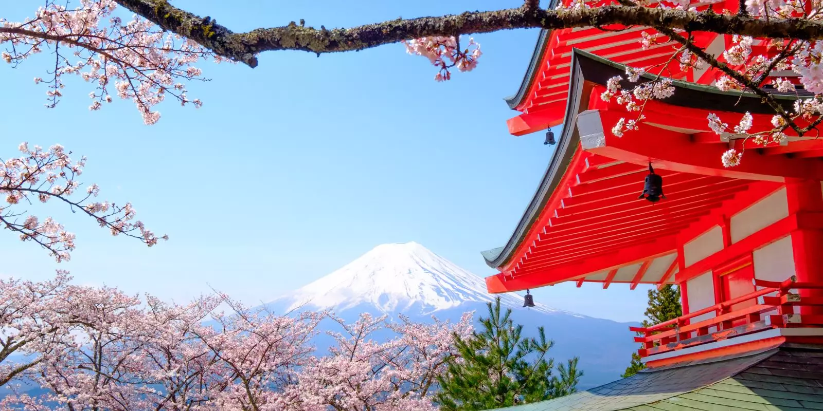Early Bird Japan