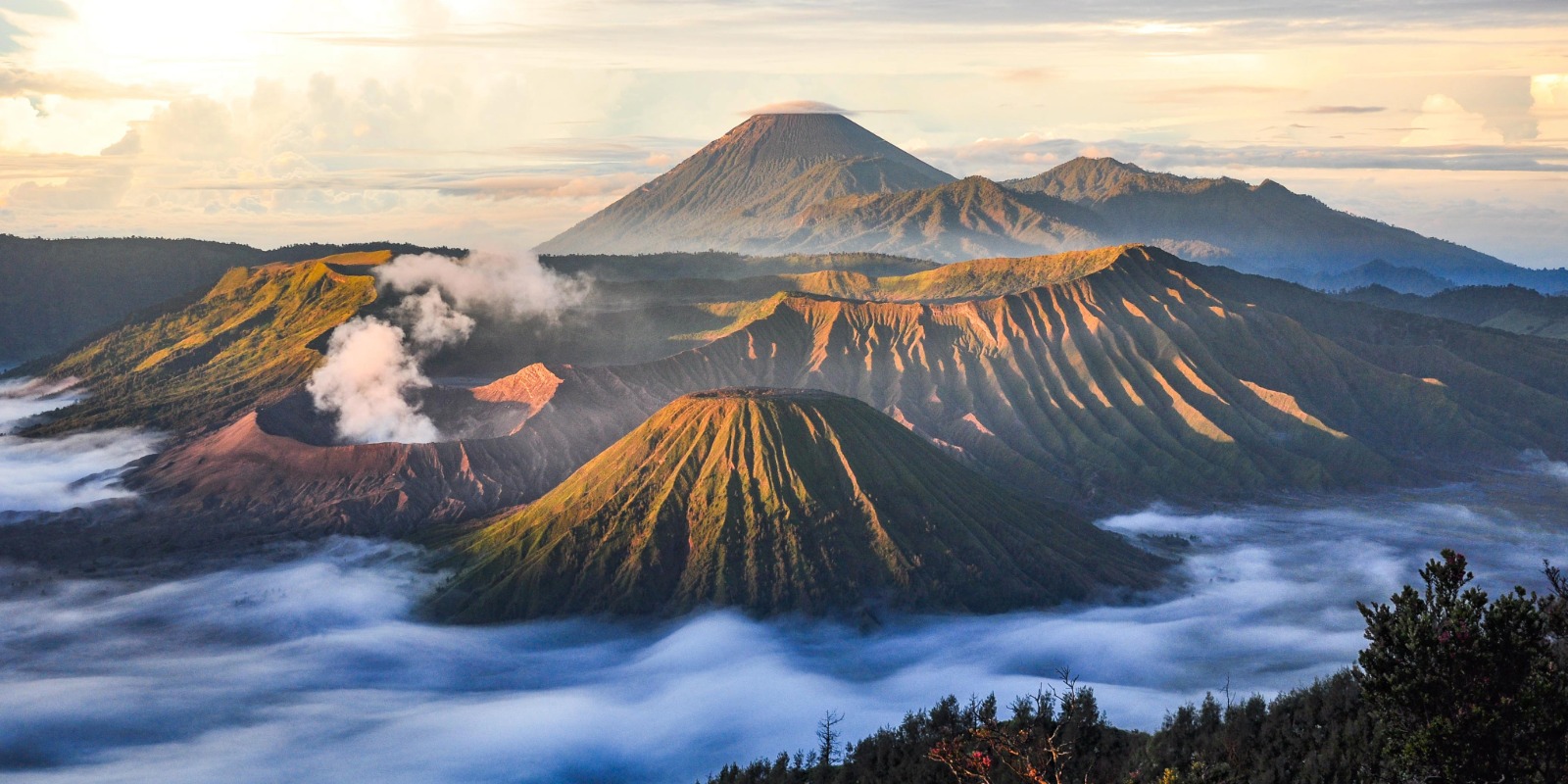 Indonesia Uncovered