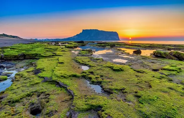 Days 11-12: Explore Jeju