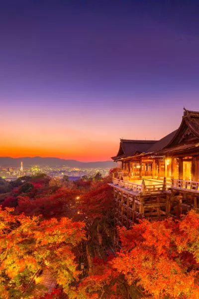 Late Autumn