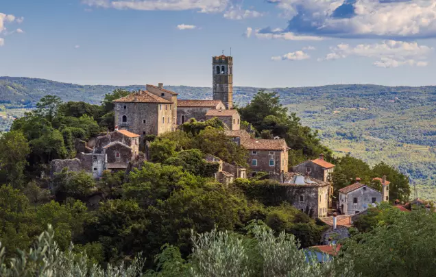 Day 16: Truffle Hunting & Istrian Distillery