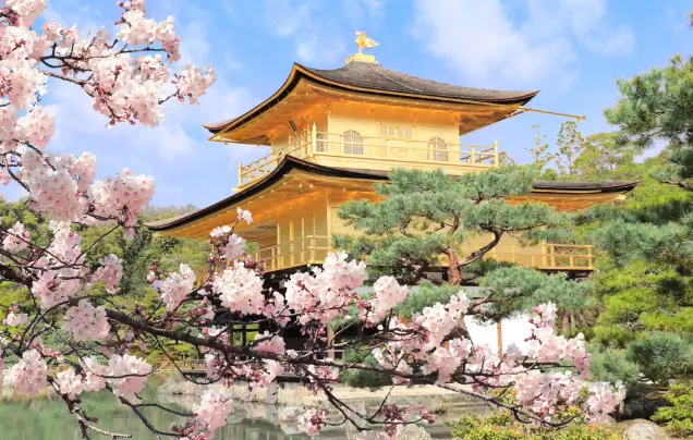 Day 10: Kyoto: Bonsai, Temples and Tea Ceremonies