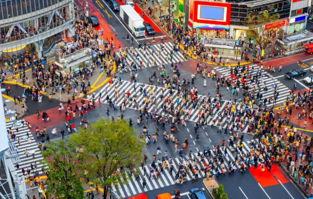 Day 3: Discover Tokyo