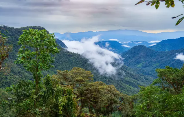 Day 4: Mindo Cloud Forest