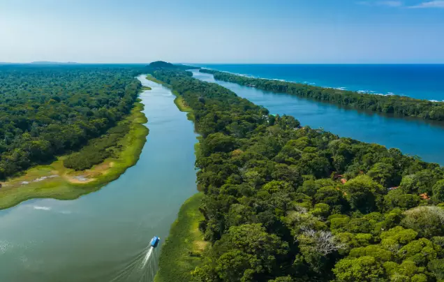 Day 4: Tortuguero