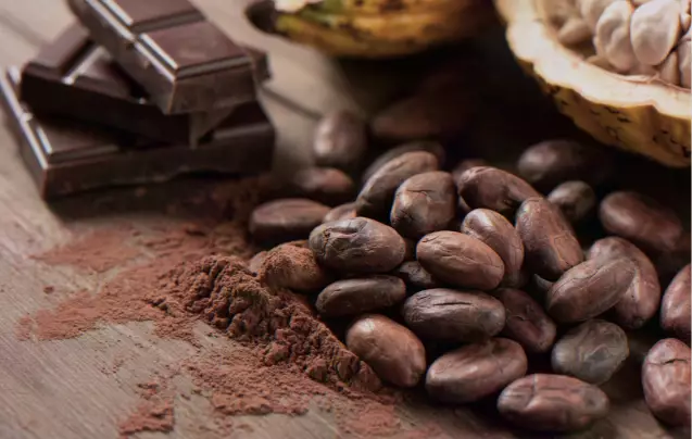 Day 9: Chocolate Tasting