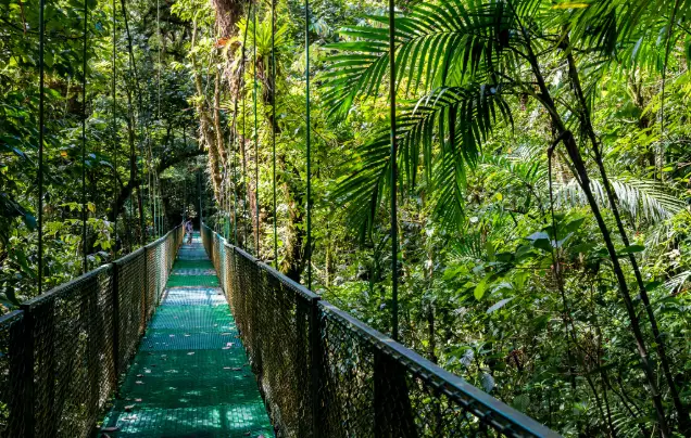 Day 15: Discover Monteverde