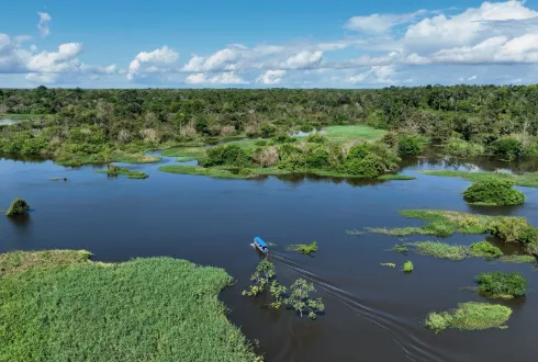 Brazilian Amazon Short Stay