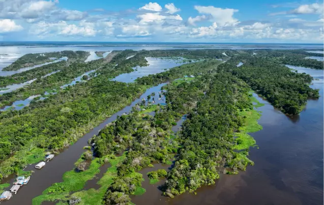 Day 1: Manaus