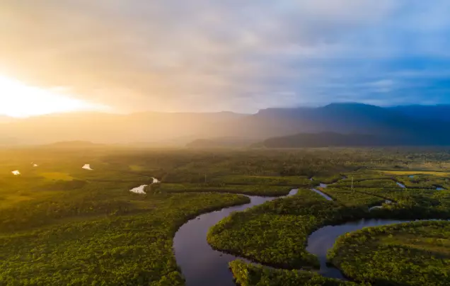 Day 5: Depart the Amazon