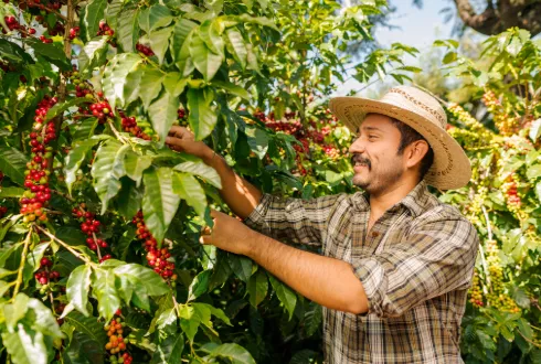 Colombia Coffee Triangle Short Stay