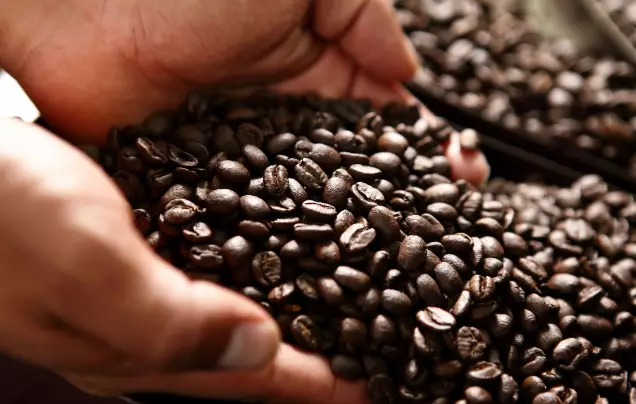 Day 4: Coffee Experience