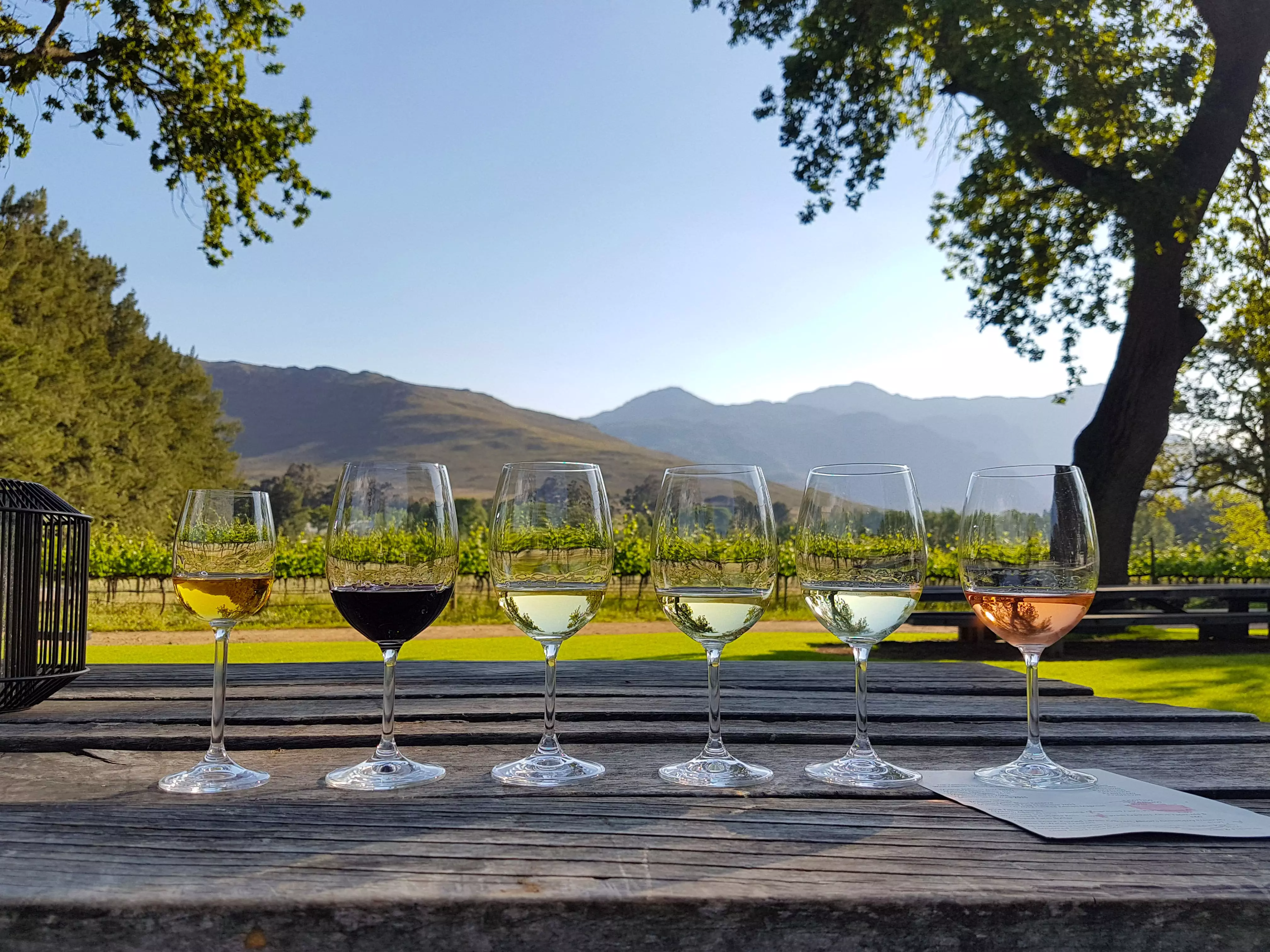 Day 2: Wine Tasting
