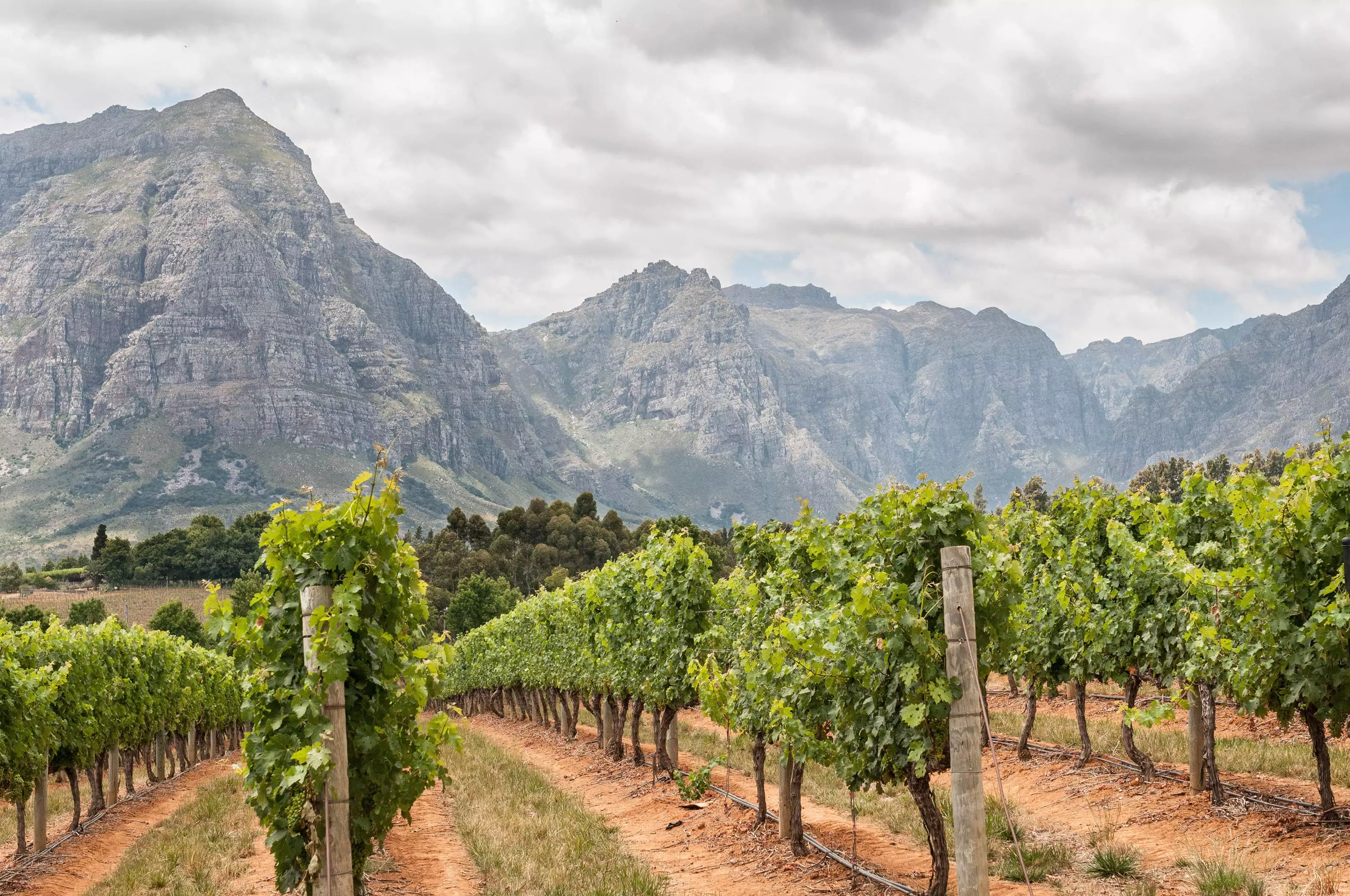 Day 4: Depart Franschhoek