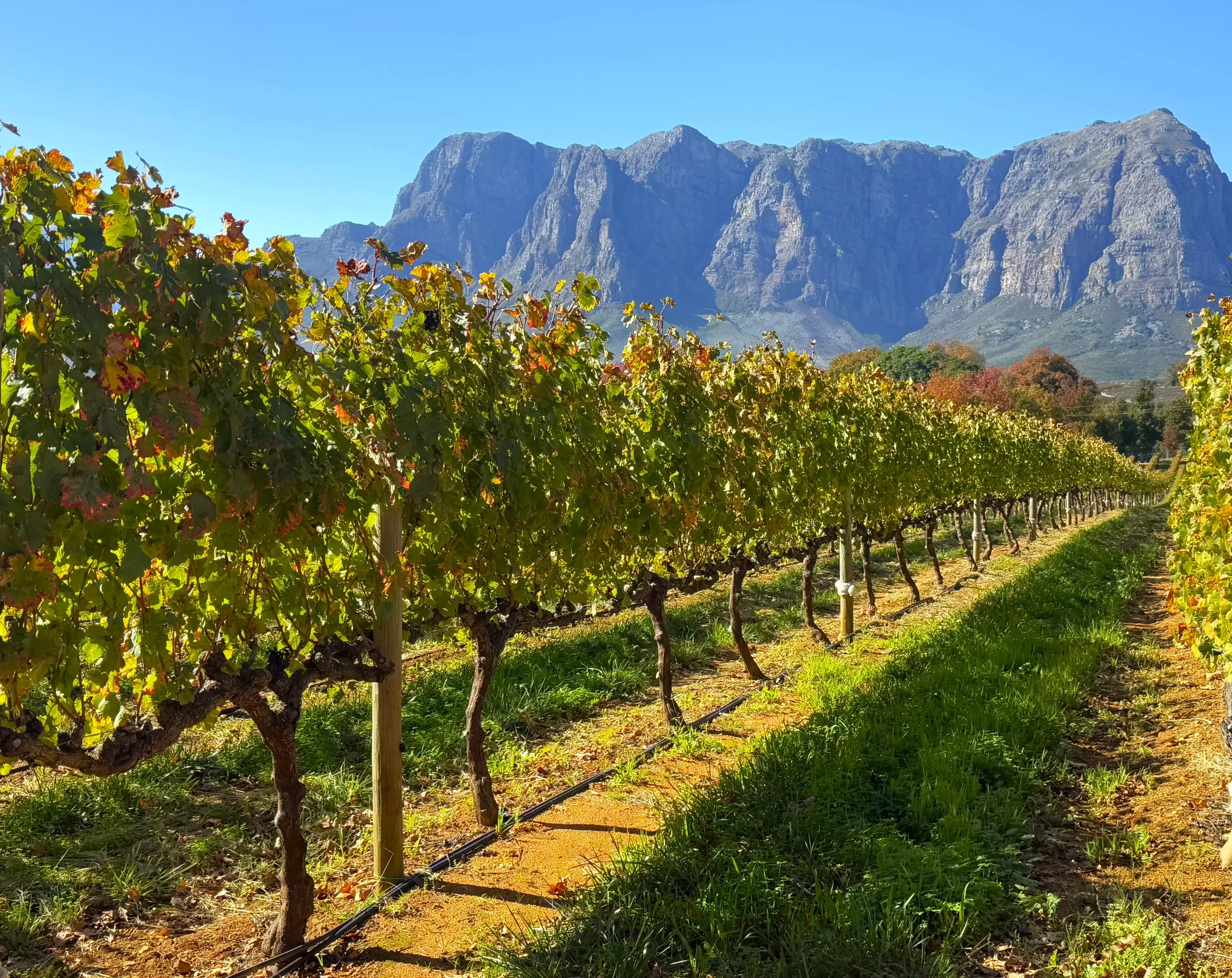 The Winelands Short Stay