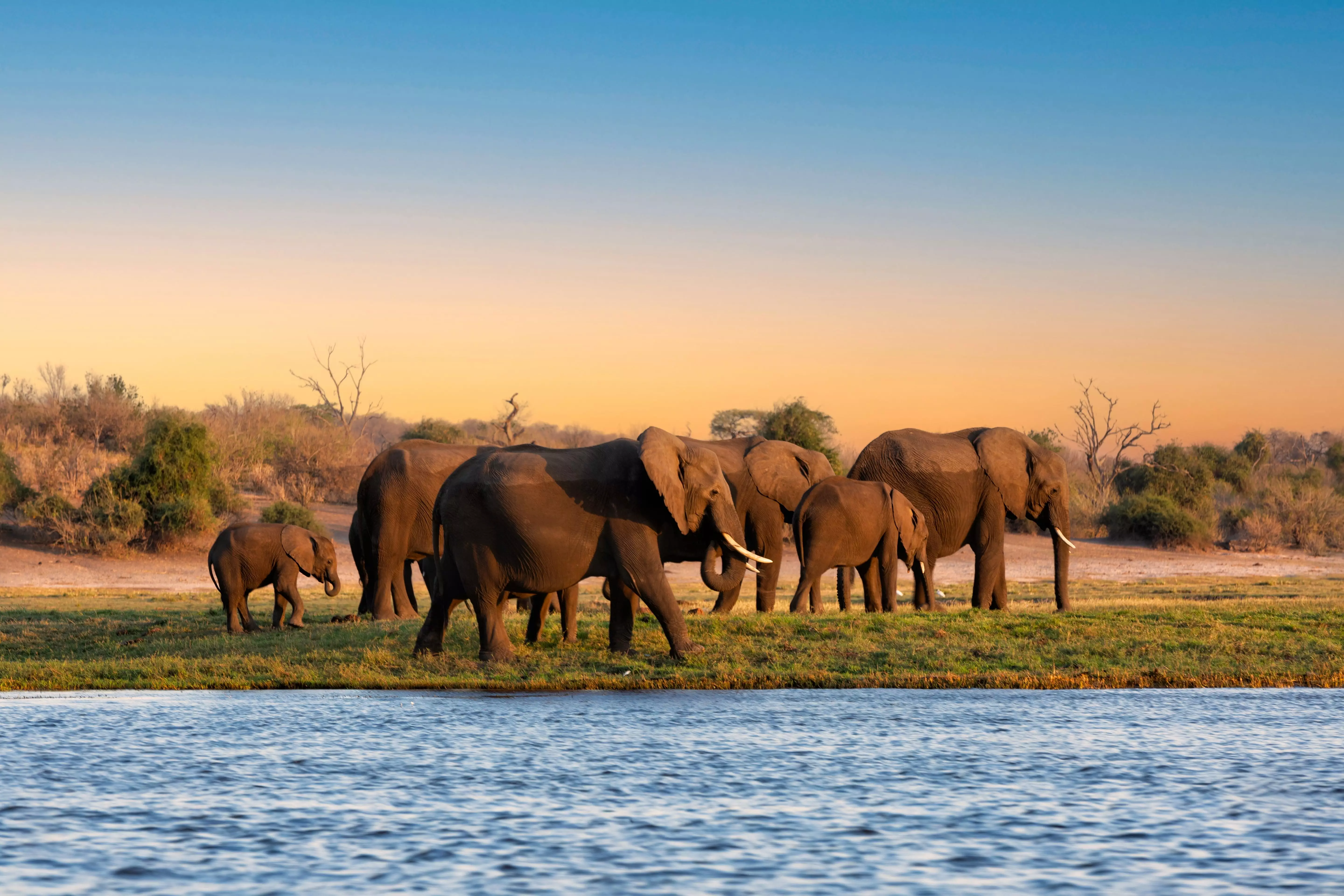 Day 2: Madikwe Game Reserve