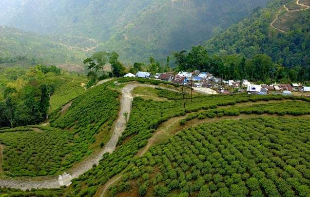 Day 5: Drive Darjeeling