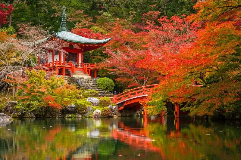 The Autumn Event