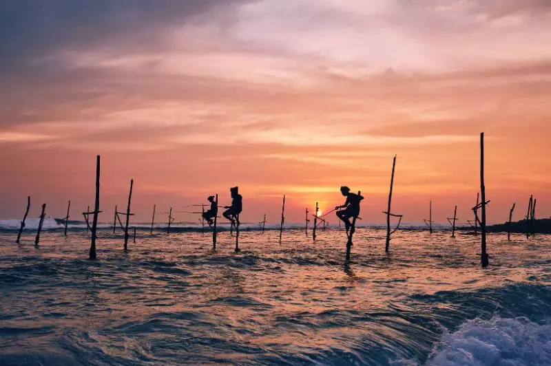 India & Sri Lanka Brochure Launch Offer 