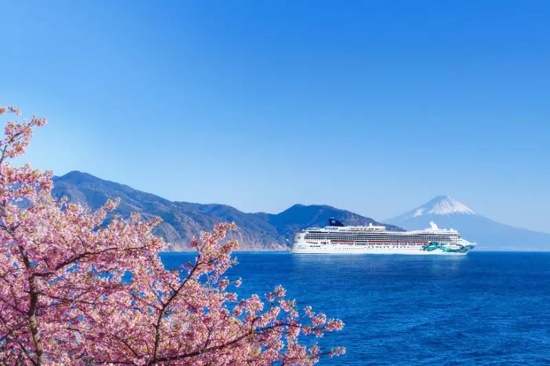 Cruise & Tour Brochure Launch Offer