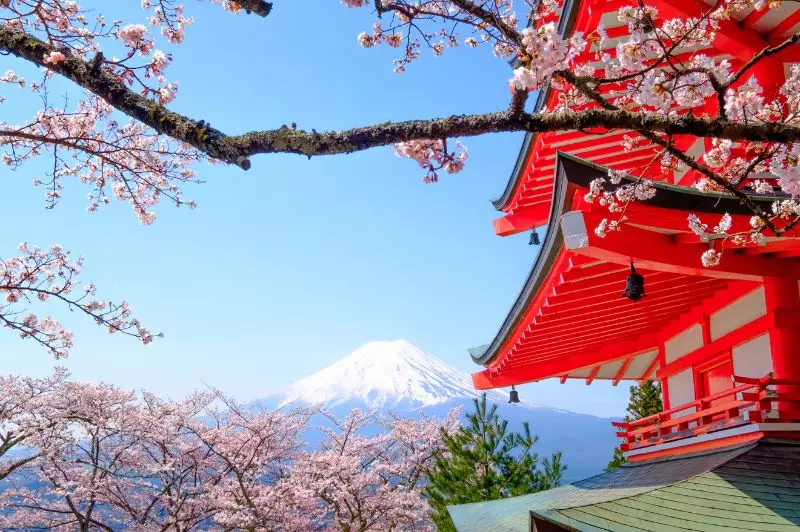 Early Bird Japan - Book Spring 2028 at 2027 Prices