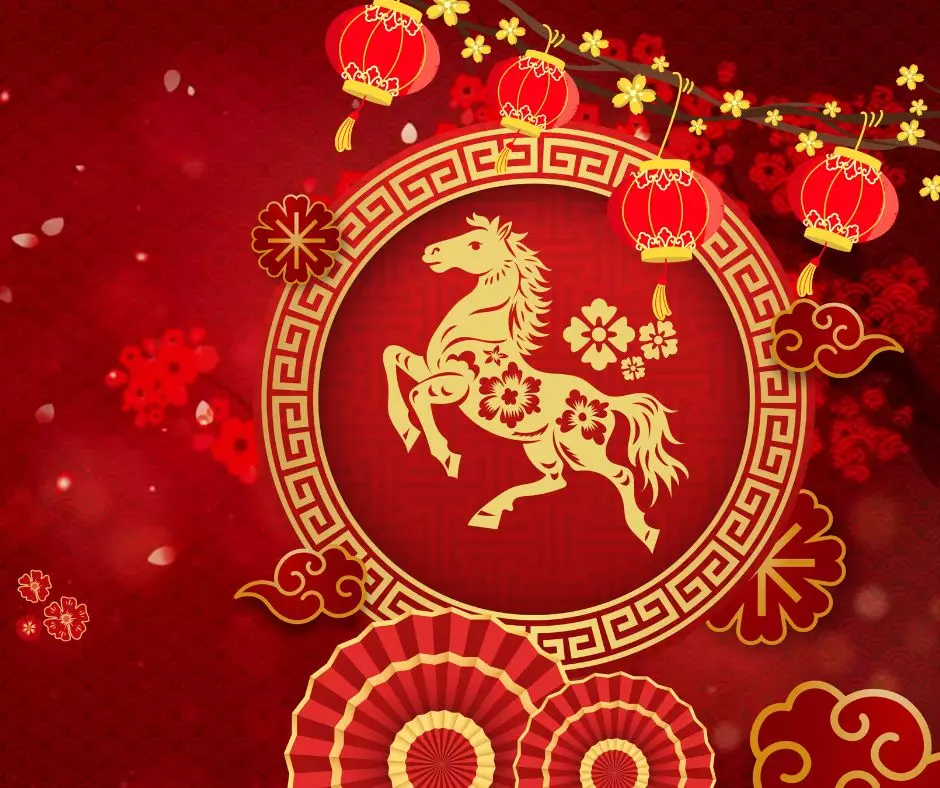 Chinese New Year Offers - Ends 28 Feb!