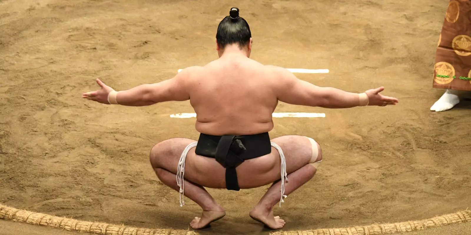 Sumo Wrestling