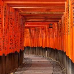 Day 11: Kyoto at Leisure