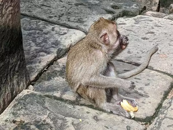 Cambodia