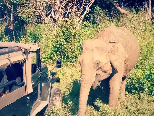 Sri Lanka