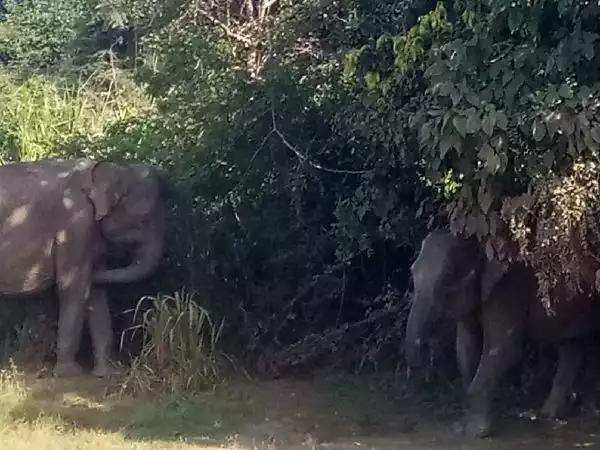 Sri Lanka
