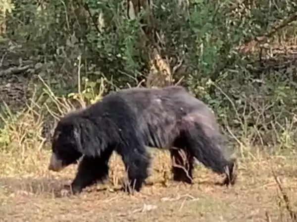 Sri Lanka