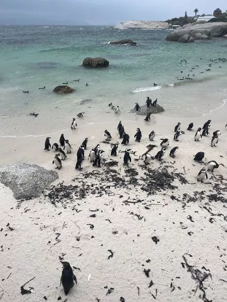 South Africa